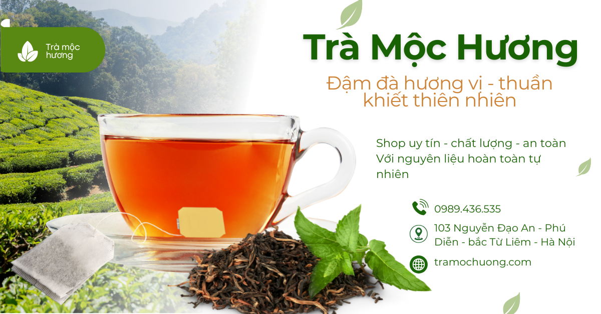 Banner trang giới thiệu