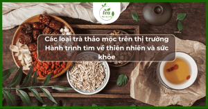 Các loại trà thảo mộc trên thị trường: Hành trình tìm về thiên nhiên và sức khỏe
