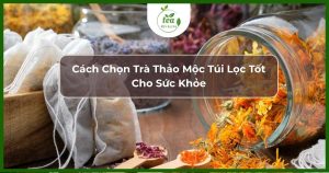 Trà thảo mộc túi lọc tốt cho sứa khỏe
