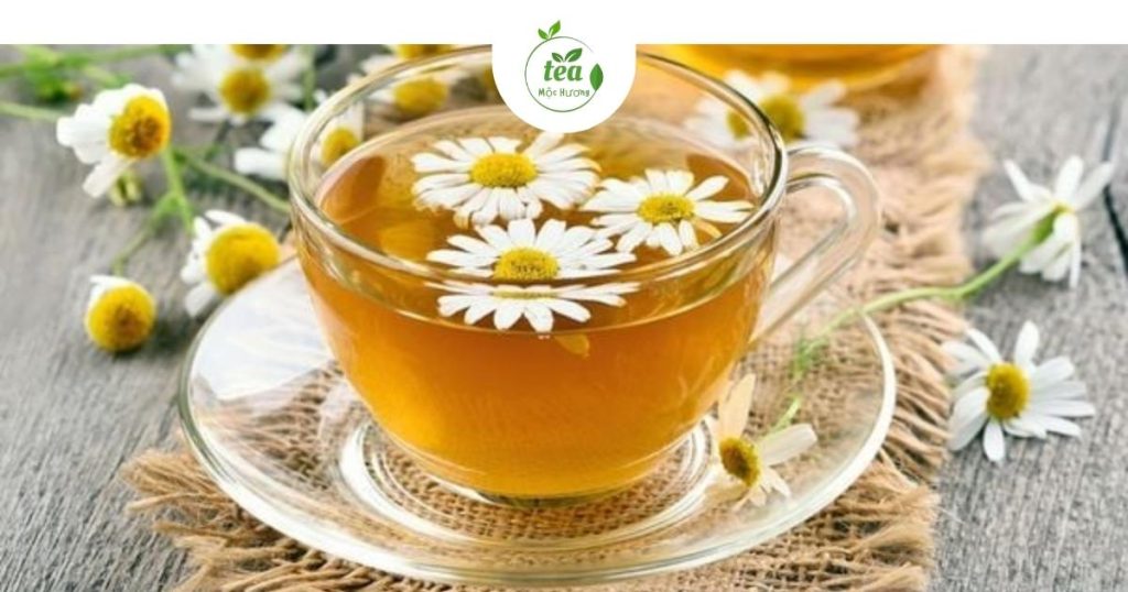 Trà Hoa Cúc- Thảo mộc an thần, hổ trợ giấc ngủ