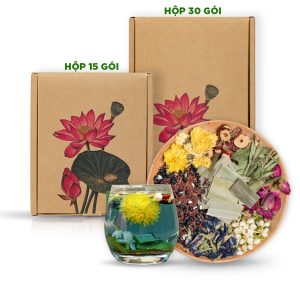 Trà Gạo Lứt Thảo Mộc