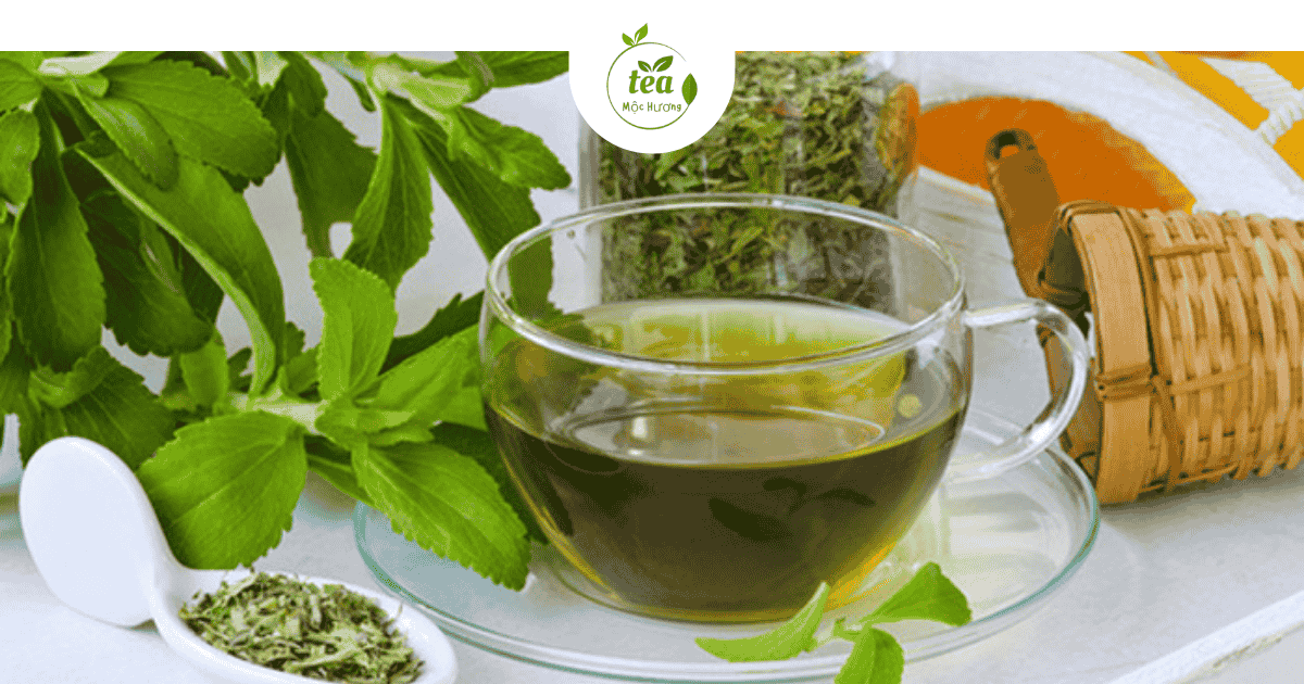Trà thảo mộc cỏ ngọt