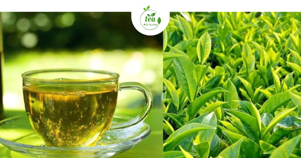 trà thảo mộc trà xanh giúp giảm cân