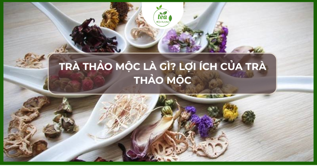 Trà thảo mộc và lợi ích của trà thảo mộc