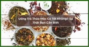 Uống trà thảo mộc có tốt không